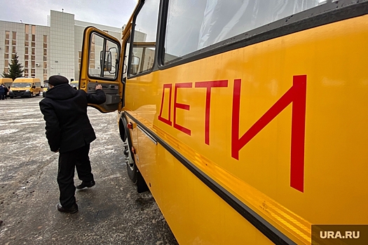 В Тюменской области водитель школьного автобуса угрожал детям
