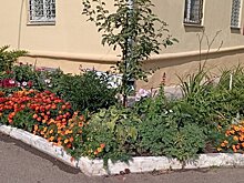 Филиал «КЧХК» поддержал смотр- конкурс «С любовью к городу»