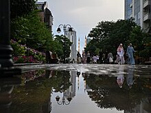 В Чечне проведут Дни Эрмитажа