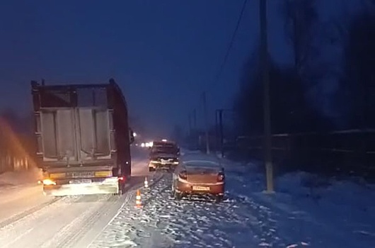 Женщина с ребенком пострадали при столкновении автомобиля с деревом в Навашине
