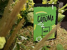 Музыкальный фестиваль «Солома» пройдет 22 июля в Румянцево