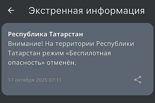 В Татарстане сняли режим "Беспилотная опасность"