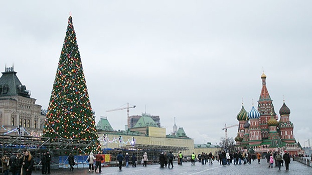 Главная новогодняя ель России прибудет в Кремль в пятницу