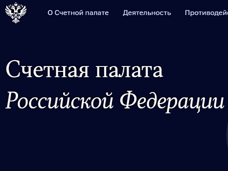 В системе начисления пенсий выявили существенные ошибки