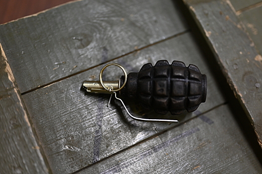В Киевской области подросток бросил гранату в сверстников из-за конфликта
