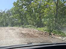 Дороги острова Русский познакомят с асфальтом