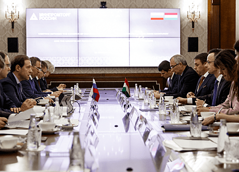 В Минромторге России обсудили российско-венгерское двустороннее сотрудничество