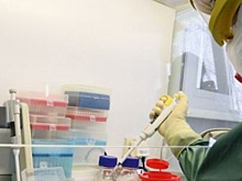 В Рязанской области за последние сутки выявлено 134 новых случаев заражения COVID-19