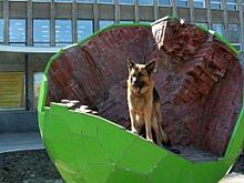 Пермский арт-объект «Яблоко» частично осыпался