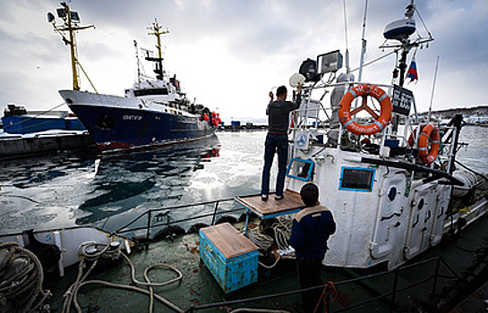 Субсидии под киль: что может грозить малым и средним рыбопромысловым предприятиям Арктики