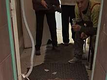 78: в частной школе в Адмиралтейском районе рухнул потолок