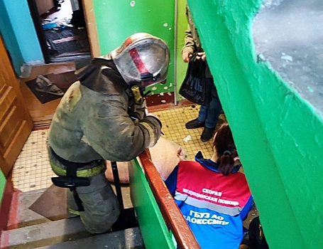 Архангельские пожарные спасли упитанного поросенка при пожаре в квартире