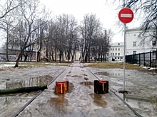 Наглых водителей в Костроме начали пугать светоотражающими пнями