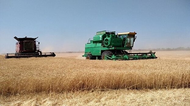 Россия выиграет от снижения урожая зерновых