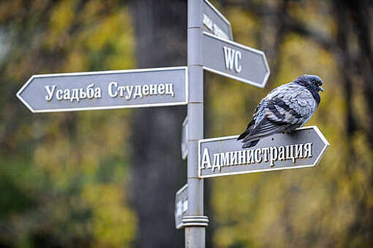 Компании Нисанова начали уничтожать усадьбу "Студенец"