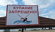 Какие пряжи в Воронежской области забраковали после проверки санврачи
