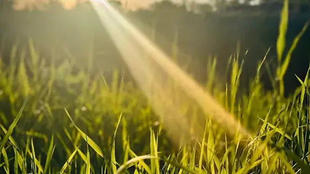 Народные приметы на 5 августа 2025 года: что нельзя делать в этот день