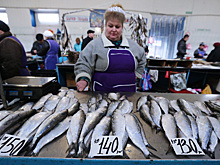 Рыба из канализации: почему россияне едят неликвид