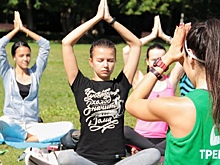 Более 500 жителей Вологды присоединились к занятиям «Зеленым фитнесом» в этом году
