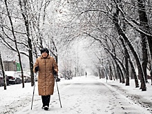 Самозанятым смогут индексировать пенсию