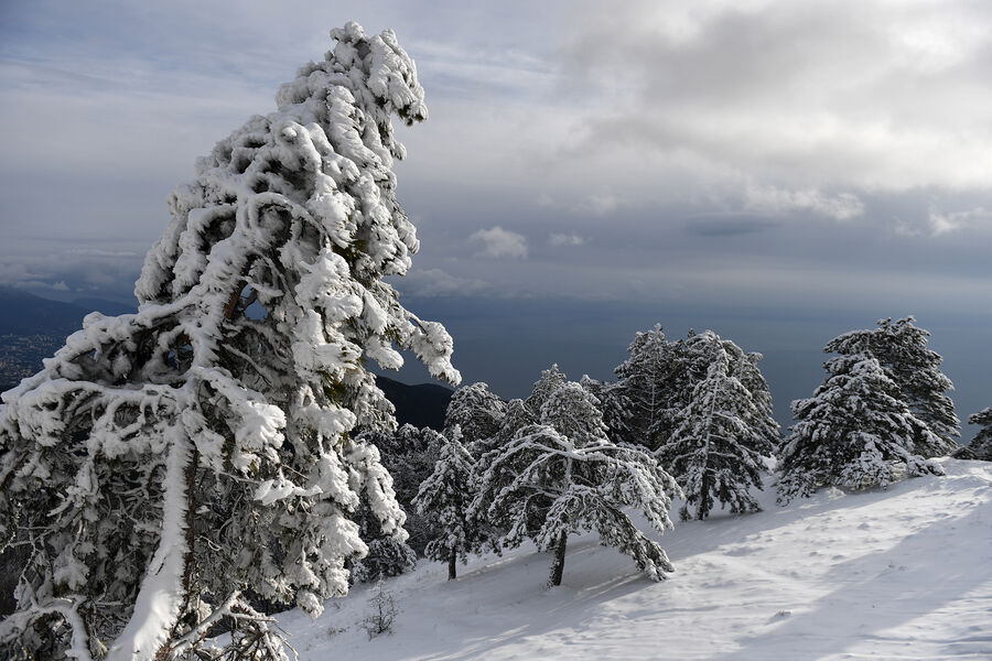 В Крыму на Ай-Петри и Ангарском перевале выпал мокрый снег.