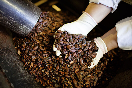 «Рот-Фронт» инвестировал 1,3 млрд рублей в линию по переработке какао-бобов