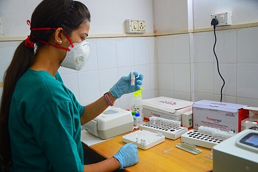В Индии разработали тест для выявления генома коронавируса