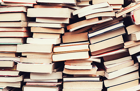 Детские книги о Петсоне и Финдусе попали под закон об иноагентах