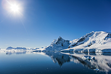 Какие находки делают во льдах Антарктики