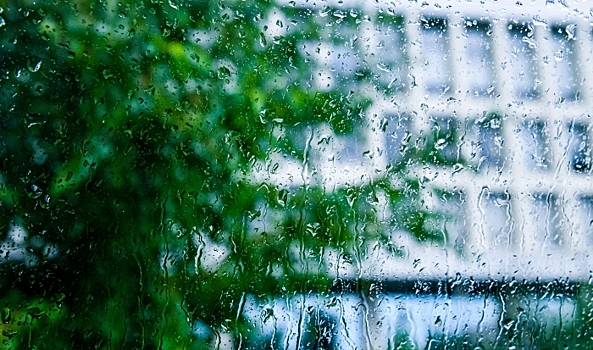 В Волгоградской области 25 июня потеплеет до +27 градусов