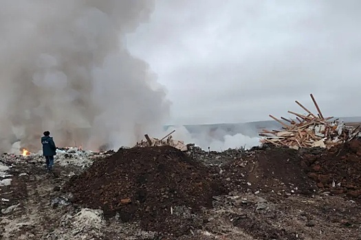 Росприроднадзор расследует пожар на свалке в Мордовии