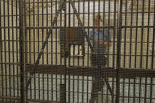 Замужняя женщина влюбилась в молодого убийцу и помогла ему сбежать из тюрьмы