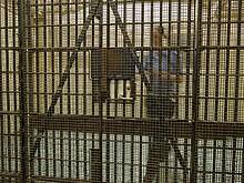 Замужняя женщина влюбилась в молодого убийцу и помогла ему сбежать из тюрьмы