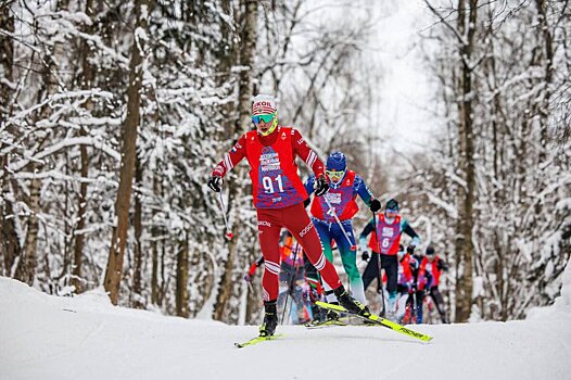 Опубликован предварительный календарь лыжных гонок на следующий год