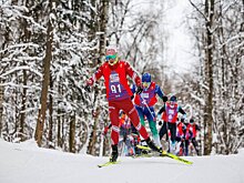 Опубликован предварительный календарь лыжных гонок на следующий год