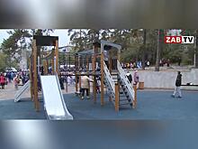 В Гагаринском парке Читы примут меры защиты от вандалов