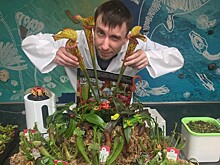 В Твери побывал укротитель хищных растений и гроза мух Сергей Куницын