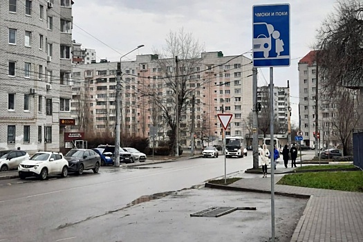 В Воронеже опробуют указатель "Чмоки и поки" для борьбы с пробками у школ