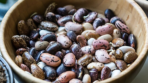 Белая или красная: какую фасоль выбрать