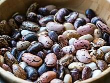 Белая или красная: какую фасоль выбрать