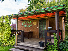 Дачникам в Новосибирске запретят вести бизнес на своих участках