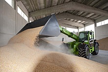 В российский интервенционный фонд закупили около 8 тыс тонн зерна