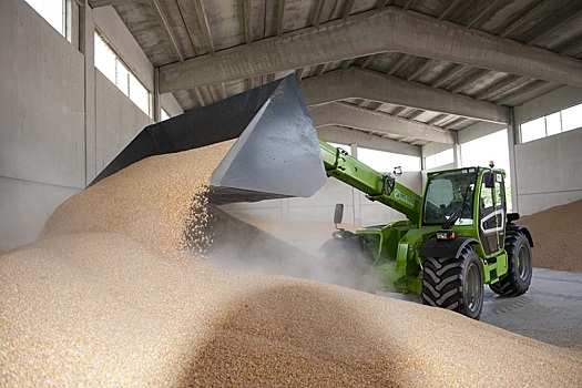 В российский интервенционный фонд закупили около 8 тыс тонн зерна