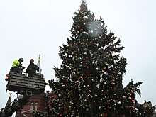 Новогоднюю елку нарядили на Манежной площади
