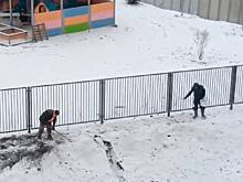 Коммунальщики посеяли траву в снег и попали на видео