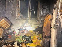 Женщина пострадала на пожаре в Городце Нижегородской области