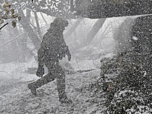 Российские военные взяли под контроль еще один населенный пункт в ДНР