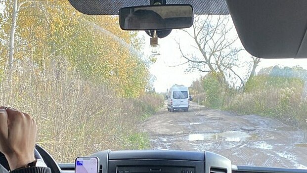 Куры гибнут от тряски, бьются подвески: одна из самых перспективных улиц Калининграда напоминает полигон