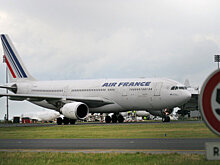 Air France уволила дебоширов