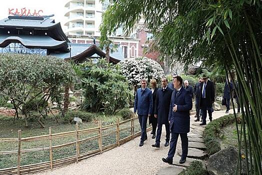 Краснодарские депутаты помогли реконструировать «Сад русско-японской дружбы» в Сочи